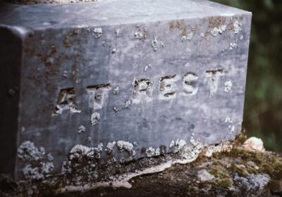 Testul Alergologic: Cum Funcționează și De Ce Este Important.