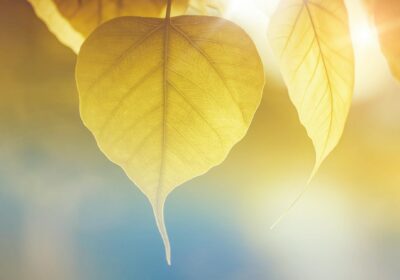 Cele mai ieftine cauciucuri de iarna noi pentru siguranta pe drum