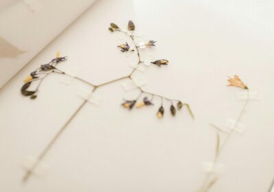 Cum să construiești un CV eficient și atractiv pentru angajatori.