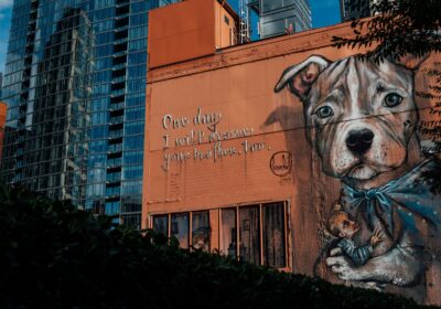 Ce înseamnă să visezi pâine rotundă în visurile tale?