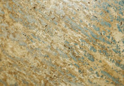 Semnificația viselor cu struguri albi în viața noastră