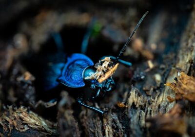 Cum să descoperi secretele locurilor mai puțin cunoscute