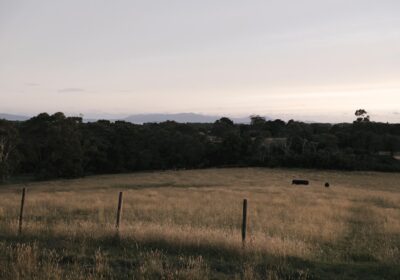 Ilfov – atracții surprinzătoare aproape de București