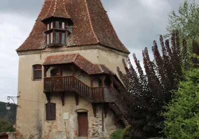 Olt – ce poți vedea într-o excursie de weekend