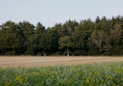 Sălaj – județul liniștit cu peisaje superbe și locuri vechi