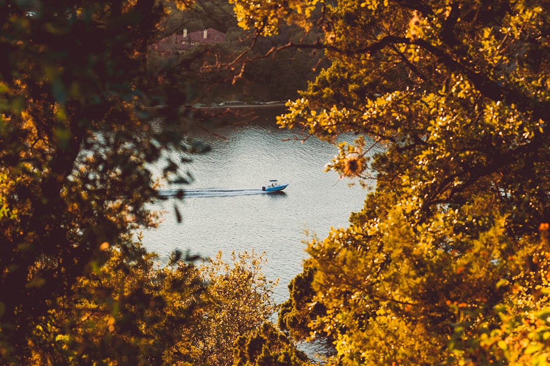 Photo Boat trip on the Danube - Brăila