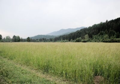 Ce Să Vizitezi În Zona Panciu