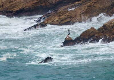 Citate celebre despre curajul de a explora