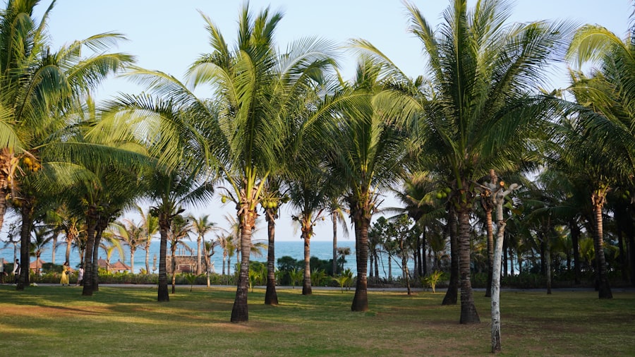 vacation destination