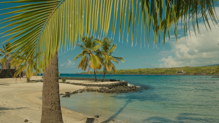 Photo vacation destination