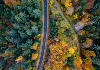 Cum să creezi experiențe turistice eco-friendly