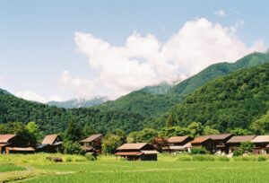 Photo eco-friendly tourism packages