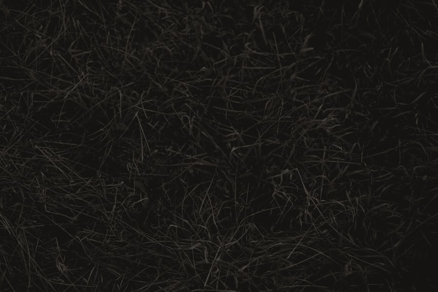 Photo deconectare totală