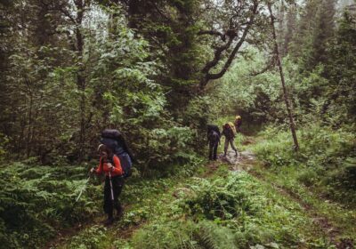 Cum să organizezi tururi pentru iubitorii de natură și aventură