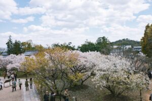 Photo spring vacation destinations