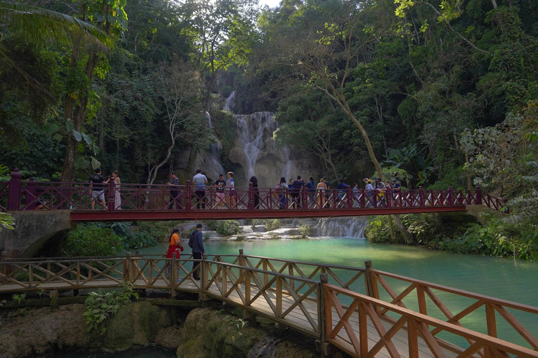 Photo eco-friendly tourism experiences