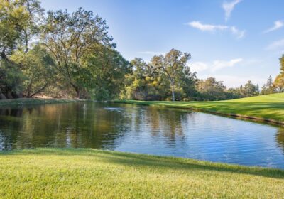 Greșeli frecvente în alegerea ghidurilor turistice