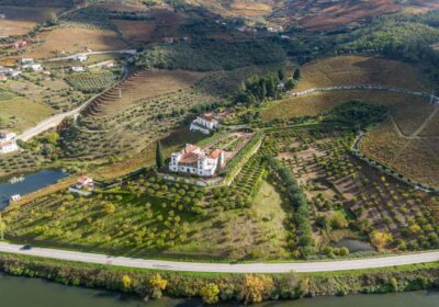 Cum să vinzi tururi gastronomice și culturale în același pachet