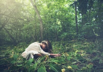 Destinații de reconectare cu natura