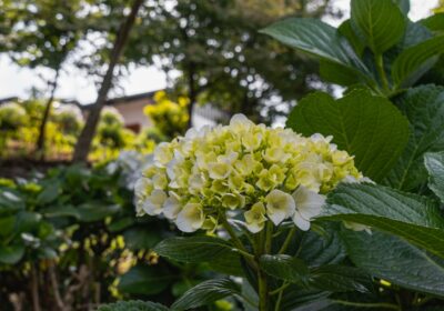 Destinații autentice, nu atracții bifate