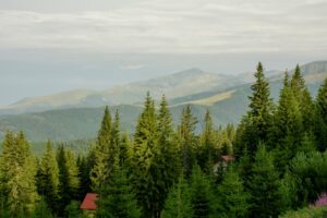Photo Romania vacations