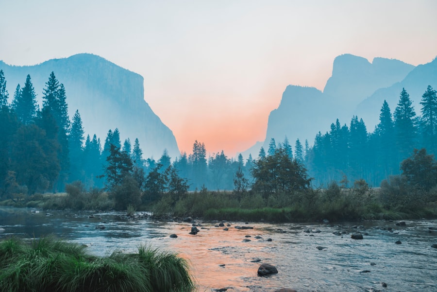 nature