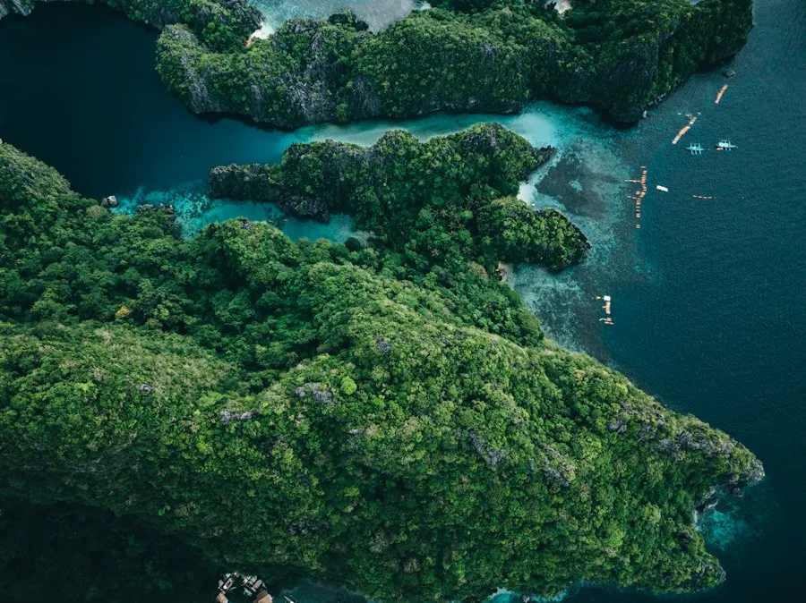 responsible tourism guide